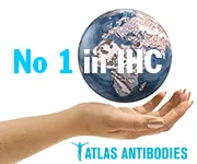 Atlas Antibodies