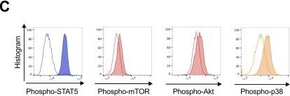 Fig.3.C showing Flow cytometry/Cell sorting in a Homo sapiens (Human) sample from the publication: Unveiling signaling pathways inducing MHC class II expression in neutrophils.