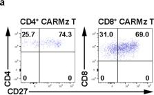 Fig.6.A showing Flow cytometry/Cell sorting in a Homo sapiens (Human) sample from the publication: Co-expression of a PD-L1-specific chimeric switch receptor augments the efficacy and persistence of CAR T cells via the CD70-CD27 axis.