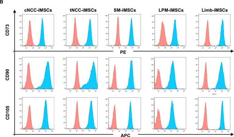 Fig.1.B showing Flow cytometry/Cell sorting from the publication: Embryonic lineage-specific iPSC-derived mesenchymal stem/stromal cells exhibit different morphologies and intrinsic functions.