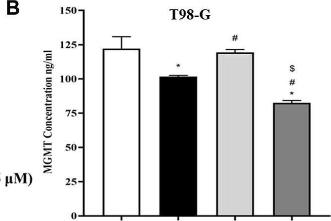 Fig.5.B showing Enzyme-linked immunosorbent assay from the publication: Naringin and temozolomide combination suppressed the growth of glioblastoma cells by promoting cell apoptosis: network pharmacology, in-vitro assays and metabolomics based study.