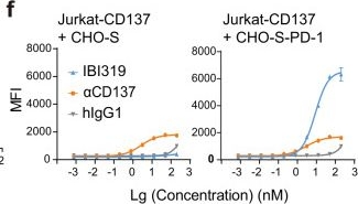 Fig.1.F from the publication: Cancer immune therapy with PD-1-dependent CD137 co-stimulation provides localized tumour killing without systemic toxicity.