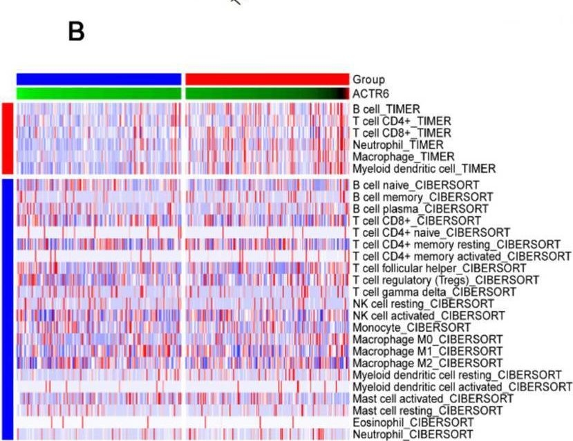 Fig.4.B showing Immunohistochemistry in an Equus caballus (Horse) sample from the publication: Expression, prognosis and preliminary investigation of the mechanism of action of ACTR6, a member of the ARPs gene family, in hepatocellular carcinoma.