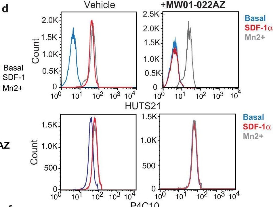 Fig.3.D showing Flow cytometry/Cell sorting in a Homo sapiens (Human) sample from the publication: PI3Kγ stimulates a high molecular weight form of myosin light chain kinase to promote myeloid cell adhesion and tumor inflammation.