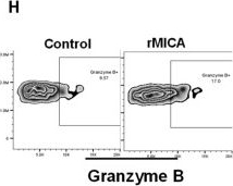 Fig.3.H showing Flow cytometry/Cell sorting in a Homo sapiens (Human) sample from the publication: MAIT Cells in the Bone Marrow of Patients with Aplastic Anemia.