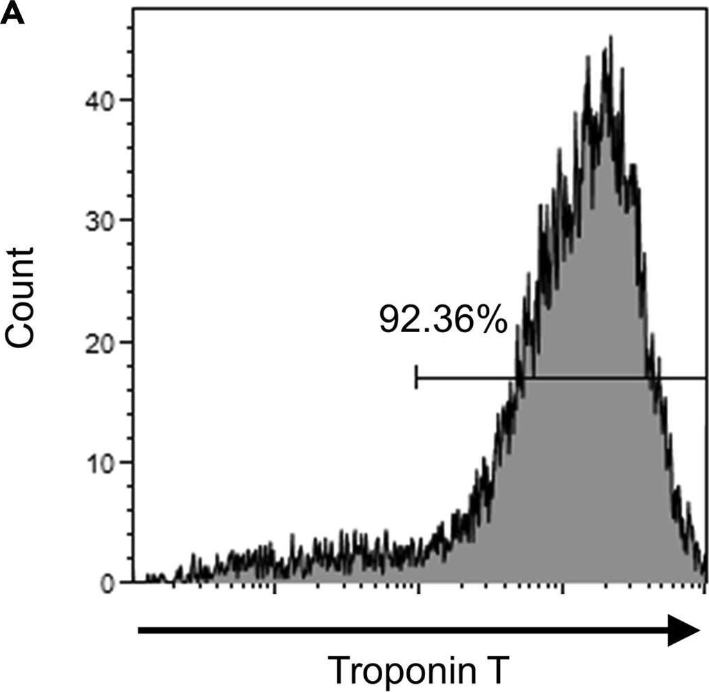Fig.1.A showing Flow cytometry/Cell sorting from the publication: Purification of cardiomyocytes and neurons derived from human pluripotent stem cells by inhibition of de novo fatty acid synthesis.