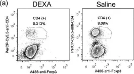 Fig.6.A showing Flow cytometry/Cell sorting from the publication: Early Detection of T cell Transfer-induced Autoimmune Colitis by In Vivo Imaging System.