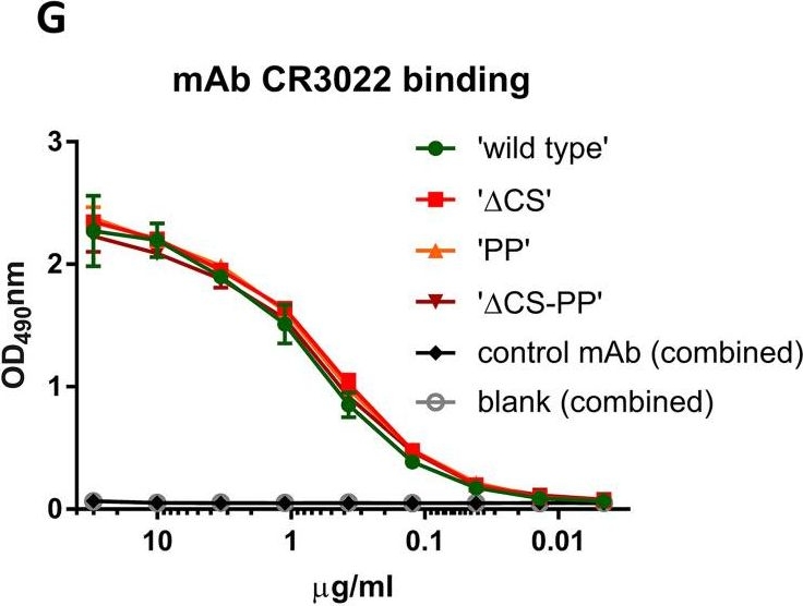 Fig.1.G showing Enzyme-linked immunosorbent assay in a Mus musculus (House mouse) sample from the publication: Introduction of Two Prolines and Removal of the Polybasic Cleavage Site Lead to Higher Efficacy of a Recombinant Spike-Based SARS-CoV-2 Vaccine in the Mouse Model.
