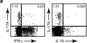Fig.1.A showing Flow cytometry/Cell sorting in a Homo sapiens (Human) sample from the publication: Transcriptional signature of human pro-inflammatory TH17 cells identifies reduced IL10 gene expression in multiple sclerosis.