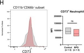 Fig.3.H showing Flow cytometry/Cell sorting from the publication: CCR1+ monocytes facilitating bronchopulmonary dysplasia through regulation of S100A8 and MMP8.