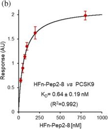 Fig.3.B from the publication: Ferritin-based disruptor nanoparticles: A novel strategy to enhance LDL cholesterol clearance via multivalent inhibition of PCSK9-LDL receptor interaction.