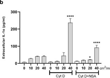 Fig.4.B showing Enzyme-linked immunosorbent assay from the publication: Gasdermin D membrane pores orchestrate IL-1α secretion from necrotic macrophages after NFS-rich silica exposure.