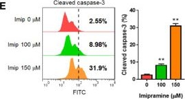 Fig.1.E showing Flow cytometry/Cell sorting in a Homo sapiens (Human) sample from the publication: Suppression of EGFR/PKC-δ/NF-κB Signaling Associated With Imipramine-Inhibited Progression of Non-Small Cell Lung Cancer.