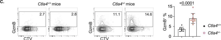 Fig.6.C showing Flow cytometry/Cell sorting in a Homo sapiens (Human) sample from the publication: CTLA4 protects against maladaptive cytotoxicity during the differentiation of effector and follicular CD4+ T cells.