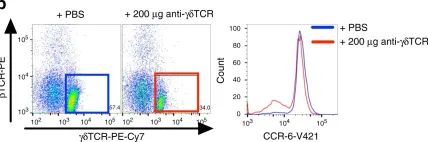 Fig.7.B showing Flow cytometry/Cell sorting in a Mus musculus (House mouse) sample from the publication: Obesity exacerbates colitis-associated cancer via IL-6-regulated macrophage polarisation and CCL-20/CCR-6-mediated lymphocyte recruitment.
