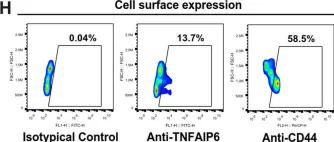 Fig.4.H showing Flow cytometry/Cell sorting from the publication: TNFAIP6 defines the MSC subpopulation with enhanced immune suppression activities.