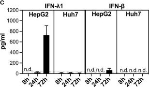 Fig.3.C from the publication: An Immunomodulatory Transcriptional Signature Associated With Persistent Listeria Infection in Hepatocytes.