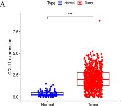 Fig.1.A showing Flow cytometry/Cell sorting in a Homo sapiens (Human) sample from the publication: Exploring CCL11 in breast cancer: unraveling its anticancer potential and immune modulatory effects involving the Akt-S6 signaling.