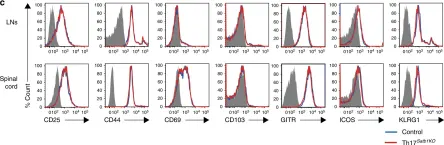 Fig.3.C showing Flow cytometry/Cell sorting in a Mus musculus (House mouse) sample from the publication: Satb1 regulates the effector program of encephalitogenic tissue Th17 cells in chronic inflammation.