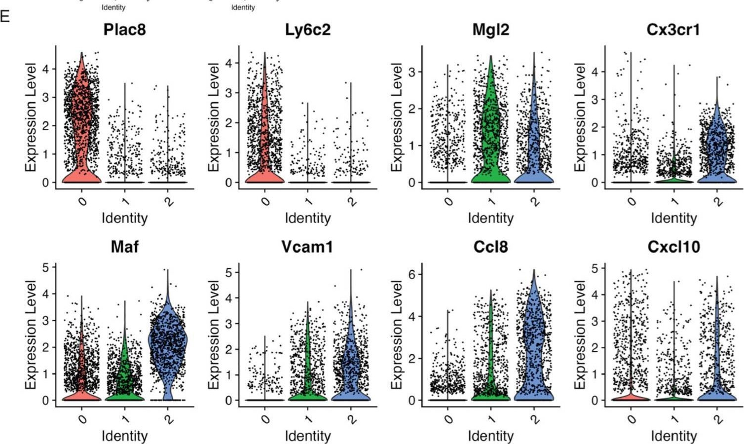 Fig.3.E showing Flow cytometry/Cell sorting from the publication: Single-Cell Profiling Reveals Global Immune Responses During the Progression of Murine Epidermal Neoplasms.