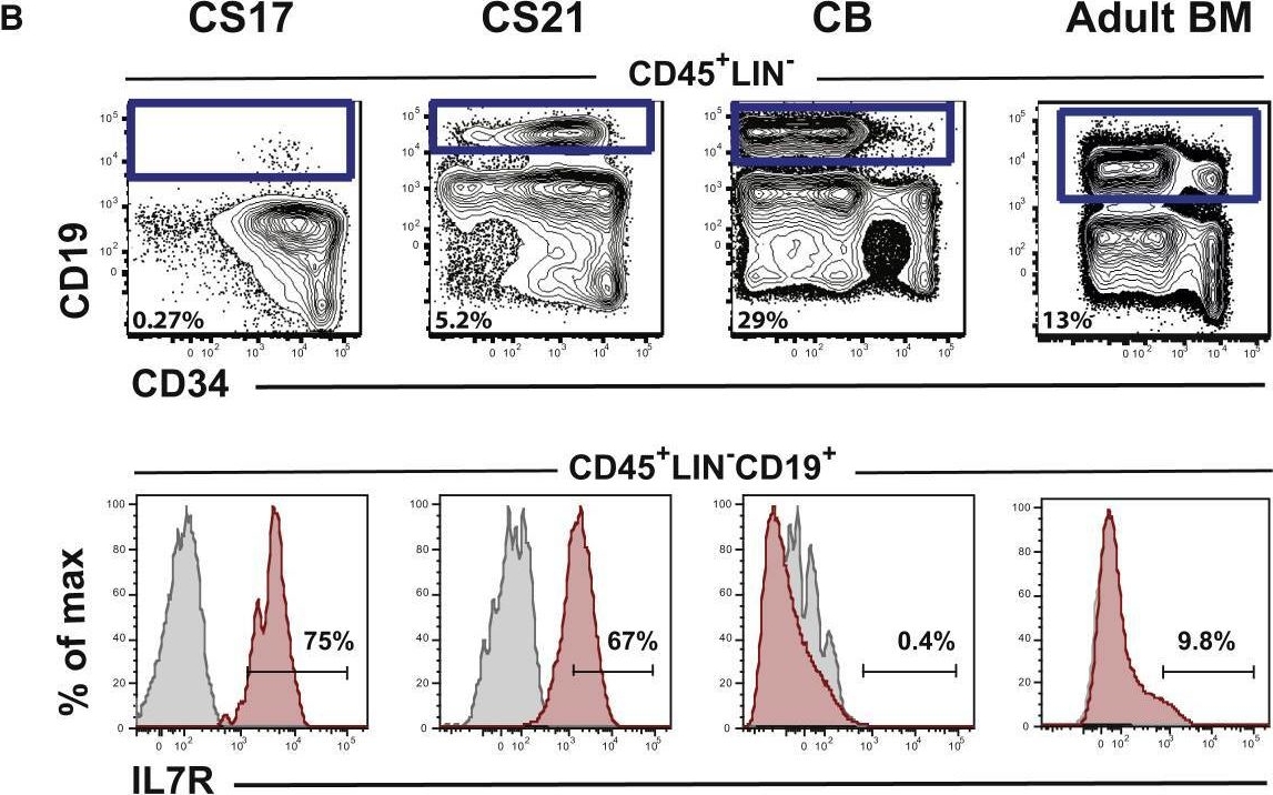 Fig.1.B showing Flow cytometry/Cell sorting in a Homo sapiens (Human) sample from the publication: A Human IPS Model Implicates Embryonic B-Myeloid Fate Restriction as Developmental Susceptibility to B Acute Lymphoblastic Leukemia-Associated ETV6-RUNX1.