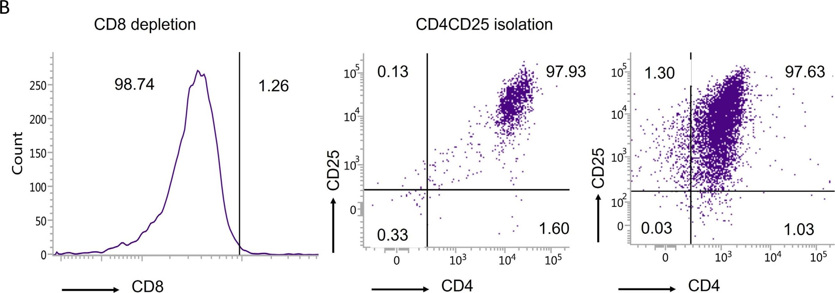 Fig.1.B showing Flow cytometry/Cell sorting in a Mus musculus (House mouse) sample from the publication: Therapeutic Effects of Aβ-Specific Regulatory T Cells in Alzheimer's Disease: A Study in 5xFAD Mice.