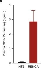 Fig.3.A showing Enzyme-linked immunosorbent assay from the publication: Targeting Cancer Cachexia: A Mechanistic Evaluation of Anti-GDF-15 Antibody-Based Combination Therapies.