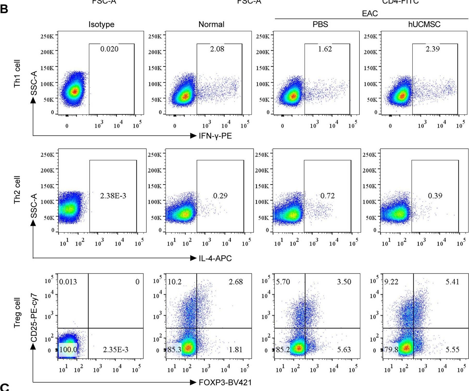 Fig.3.B showing Flow cytometry/Cell sorting in a Homo sapiens (Human) sample from the publication: Subconjunctival injection of human umbilical cord mesenchymal stem cells alleviates experimental allergic conjunctivitis via regulating T cell response.