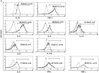 Fig.3.A showing Flow cytometry/Cell sorting in a Homo sapiens (Human) sample from the publication: Human Peripheral CD4(+) Vδ1(+) γδT Cells Can Develop into αβT Cells.