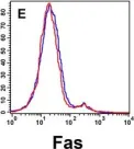 Fig.1.E showing Flow cytometry/Cell sorting from the publication: Defective Fas Expression on Bone Marrow Derived Cells Alters Atherosclerotic Plaque Morphology in Hyperlipidemic Mice.