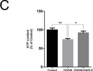 Fig.2.C showing Enzyme-linked immunosorbent assay from the publication: Delta opioid peptide [D-ala2, D-leu5]-Enkephalin's ability to enhance mitophagy via TRPV4 to relieve ischemia/reperfusion injury in brain microvascular endothelial cells.