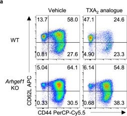 Fig.7.A showing Flow cytometry/Cell sorting from the publication: Aspirin prevents metastasis by limiting platelet TXA2 suppression of T cell immunity.