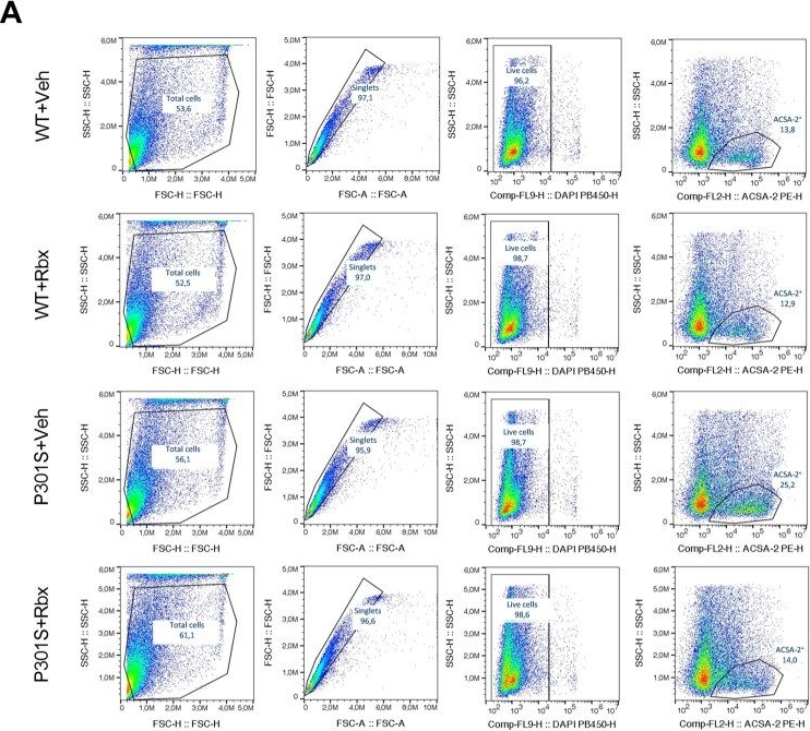Fig.5.A showing Flow cytometry/Cell sorting in a Mus musculus (House mouse) sample from the publication: Reboxetine Treatment Reduces Hippocampal Gliosis in the P301S Tauopathy Mouse Model.