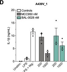 Fig.7.D showing Enzyme-linked immunosorbent assay from the publication: Discovery of potent and selective inhibitors of human NLRP3 with a novel mechanism of action.