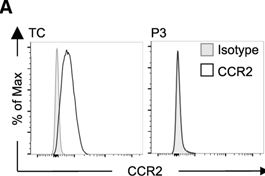 Fig.4.A showing Flow cytometry/Cell sorting in a Homo sapiens (Human) sample from the publication: Human inherited CCR2 deficiency underlies progressive polycystic lung disease.