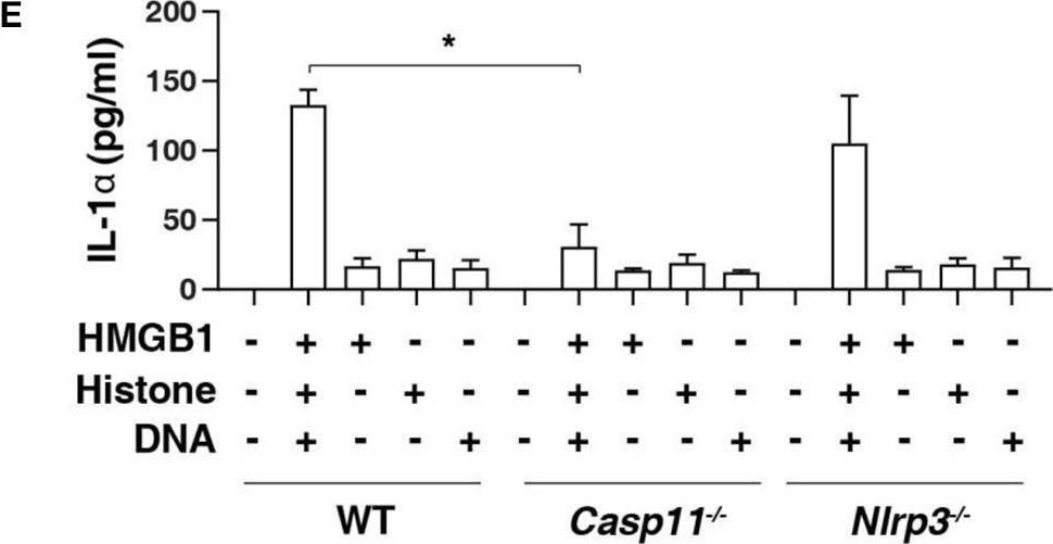 Fig.1.E showing Enzyme-linked immunosorbent assay from the publication: AGER-Mediated Lipid Peroxidation Drives Caspase-11 Inflammasome Activation in Sepsis.