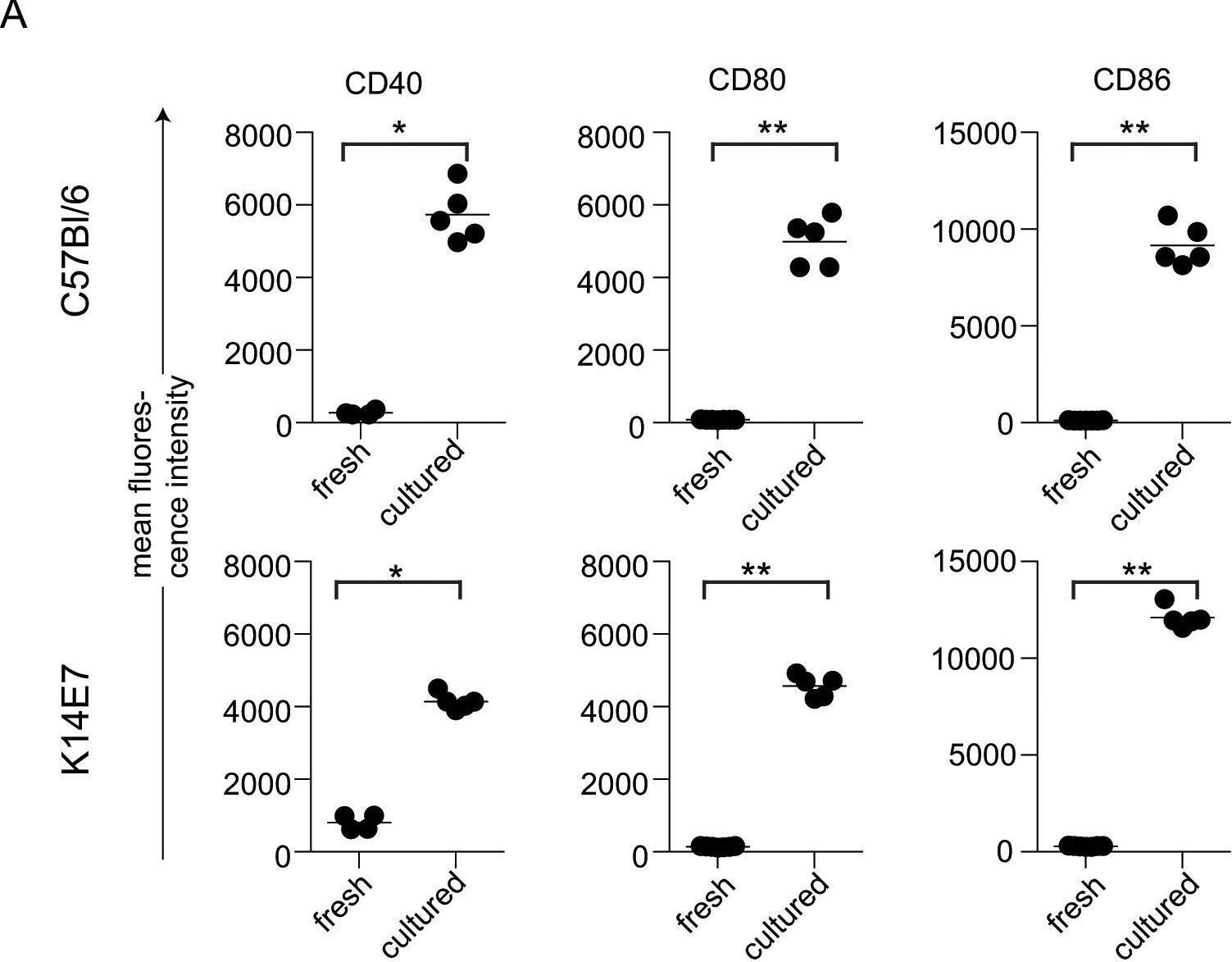 Fig.6.A showing Flow cytometry/Cell sorting from the publication: Langerhans cell homeostasis and activation is altered in hyperplastic human papillomavirus type 16 E7 expressing epidermis.