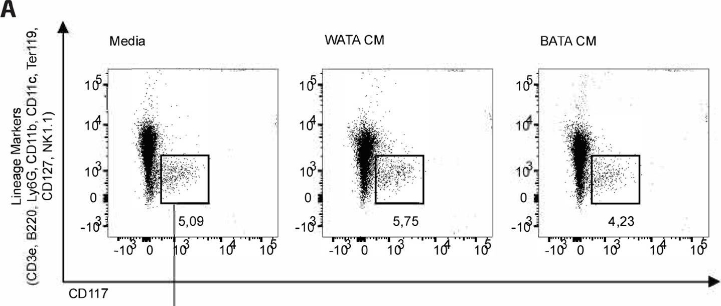 Fig.7.A showing Flow cytometry/Cell sorting in a Mus musculus (House mouse) sample from the publication: Bone marrow adipocytes drive the development of tissue invasive Ly6Chigh monocytes during obesity.
