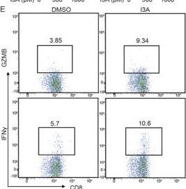 Fig.1.E showing Flow cytometry/Cell sorting in a Mus musculus (House mouse) sample from the publication: Tryptophan Metabolite Indole-3-Aldehyde Induces AhR and c-MYC Degradation to Promote Tumor Immunogenicity.