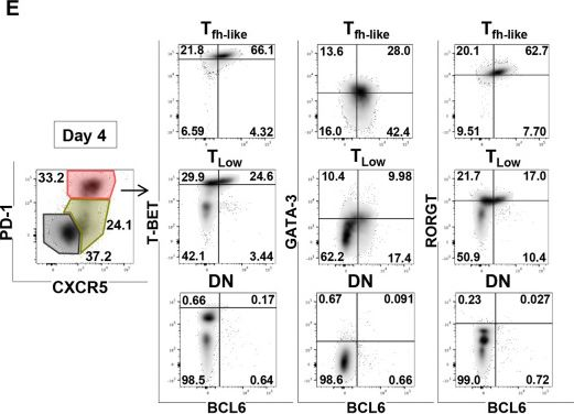 Fig.3.E showing Flow cytometry/Cell sorting from the publication: GM-CSF-activated human dendritic cells promote type 1 T follicular helper cell polarization in a CD40-dependent manner.