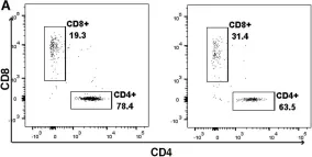 Fig.4.A showing Flow cytometry/Cell sorting in a Mus musculus (House mouse) sample from the publication: Systemic HIV-1 infection produces a unique glial footprint in humanized mouse brains.