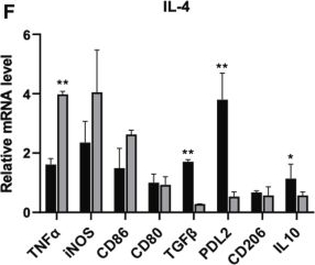 Fig.4.F showing Enzyme-linked immunosorbent assay from the publication: Blockade of C5a receptor unleashes tumor-associated macrophage antitumor response and enhances CXCL9-dependent CD8+ T cell activity.