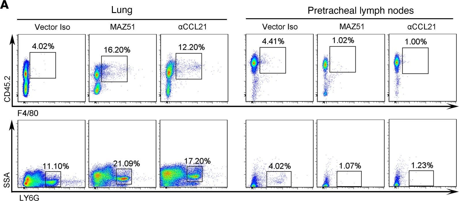 Fig.9.A showing Flow cytometry/Cell sorting in a Mus musculus (House mouse) sample from the publication: Efficient pulmonary lymphatic drainage is necessary for inflammation resolution in ARDS.