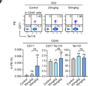 Fig.5.F showing Flow cytometry/Cell sorting in a Mus musculus (House mouse) sample from the publication: MCL-1 Inhibitor S63845 Distinctively Affects Intramedullary and Extramedullary Hematopoiesis.