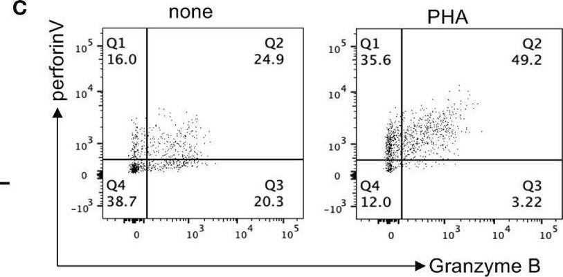 Fig.4.C showing Flow cytometry/Cell sorting in a Homo sapiens (Human) sample from the publication: Establishment of an Ex Vivo Tissue Culture Model for Evaluation of Antitumor Efficacy in Clear Cell Renal Cell Carcinoma.