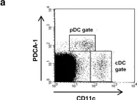Fig.1.A showing Flow cytometry/Cell sorting in a Mus musculus (House mouse) sample from the publication: Mucosal and systemic T cell response in mice intragastrically infected with Neospora caninum tachyzoites.