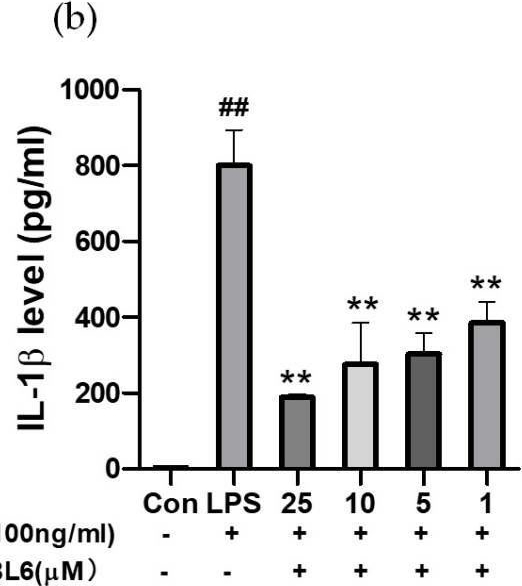Fig.4.B showing Enzyme-linked immunosorbent assay from the publication: Methionine Aminopeptidase 2 (MetAP2) Inhibitor BL6 Attenuates Inflammation in Cultured Microglia and in a Mouse Model of Alzheimer's Disease.