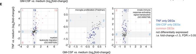 Fig.6.E from the publication: Organotypic Brain Slice Culture Microglia Exhibit Molecular Similarity to Acutely-Isolated Adult Microglia and Provide a Platform to Study Neuroinflammation.