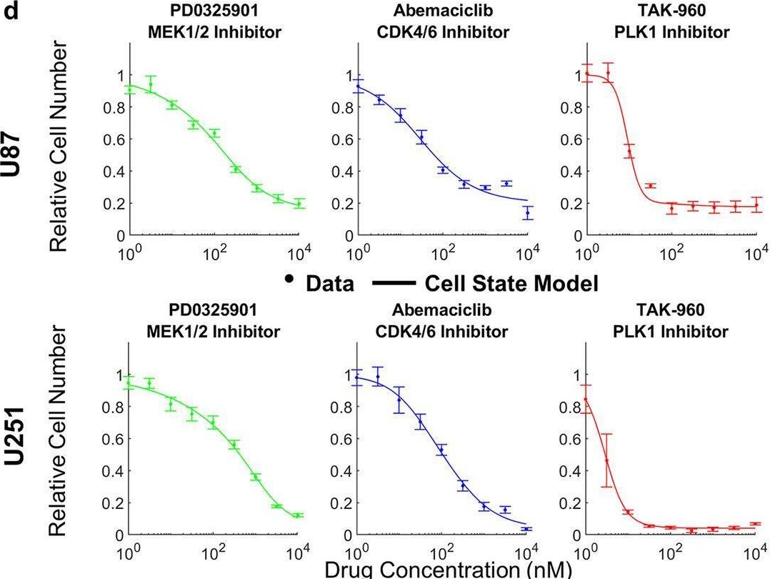 Fig.1.D from the publication: Predicting anti-cancer drug combination responses with a temporal cell state network model.