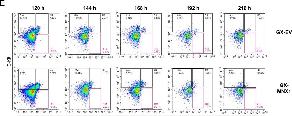 Fig.5.E showing Flow cytometry/Cell sorting from the publication: Dissecting infant leukemia developmental origins with a hemogenic gastruloid model.